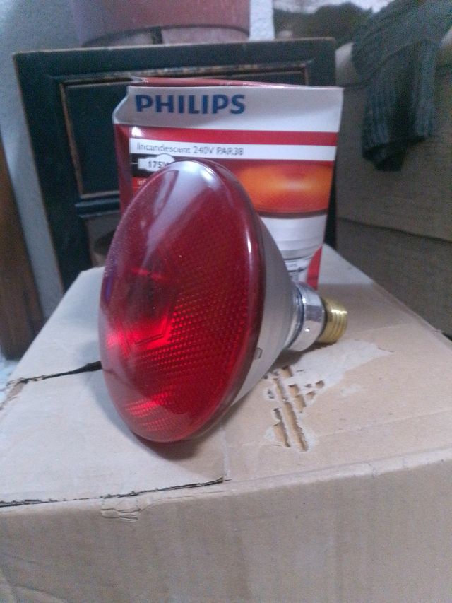 Bombilla Philips 240V PAR38 175W