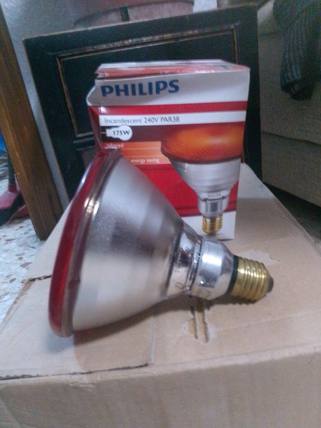 Bombilla Philips 240V PAR38 175W