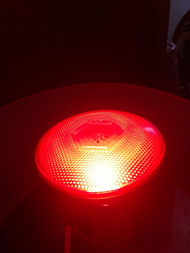 Bombilla Philips 240V PAR38 175W