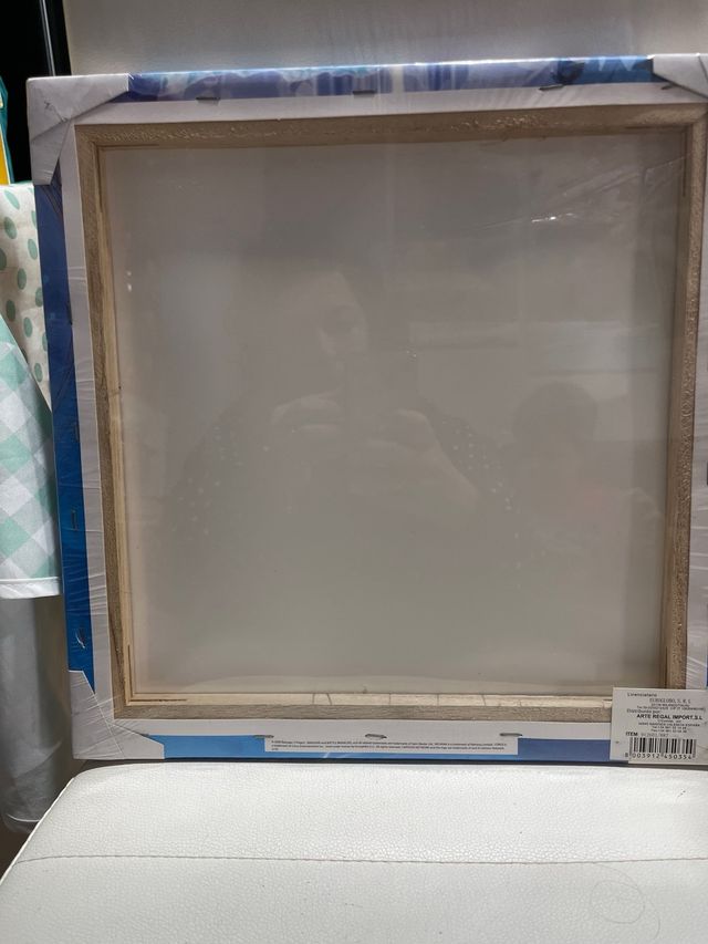 Lienzo Decorativo Bakugan New Vestroia