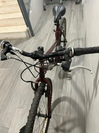 Bicicleta de montaña color burdeos