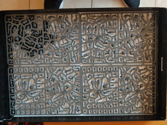 20x Tropas de Choque de Cadia Warhammer 40k