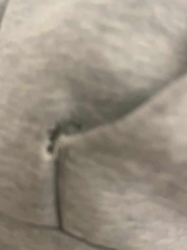 Sudadera gris Lacoste con cremallera