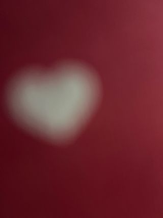 Lote Ropa Nueva Mujer Talla Única