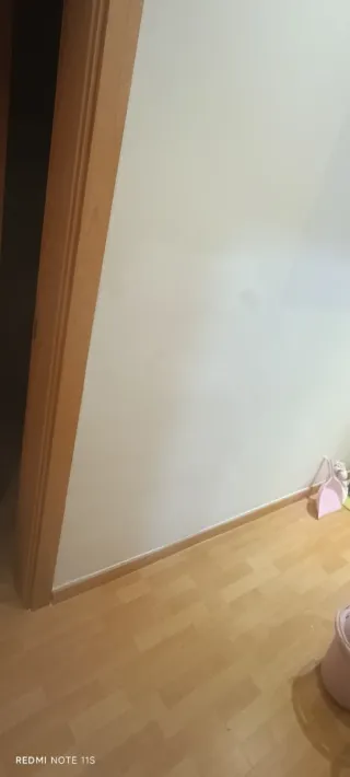 Pintor y manitas Cornellá