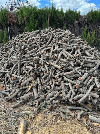 Leña de olivo, almendro, roble y albaricoquero