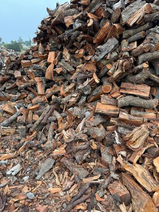 Leña de olivo, almendro, roble y albaricoquero