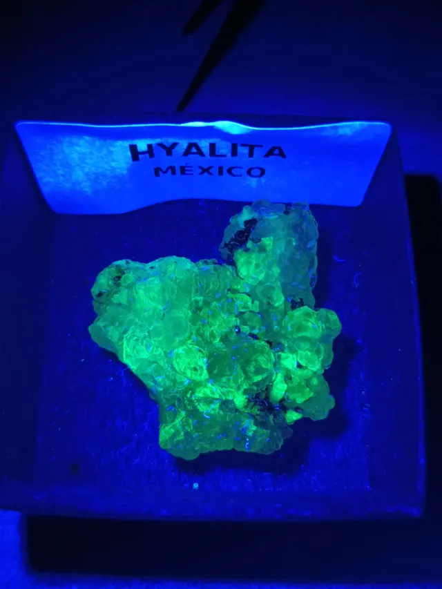 Opala Hyalite em caixa