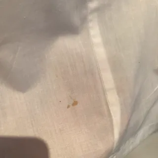 Falda cintura alta Sfera