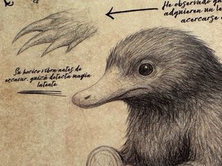 Láminas Harry Potter Demiguise y Escarbato