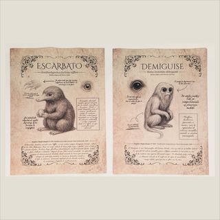 Láminas Harry Potter Demiguise y Escarbato