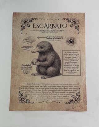 Láminas Harry Potter Demiguise y Escarbato