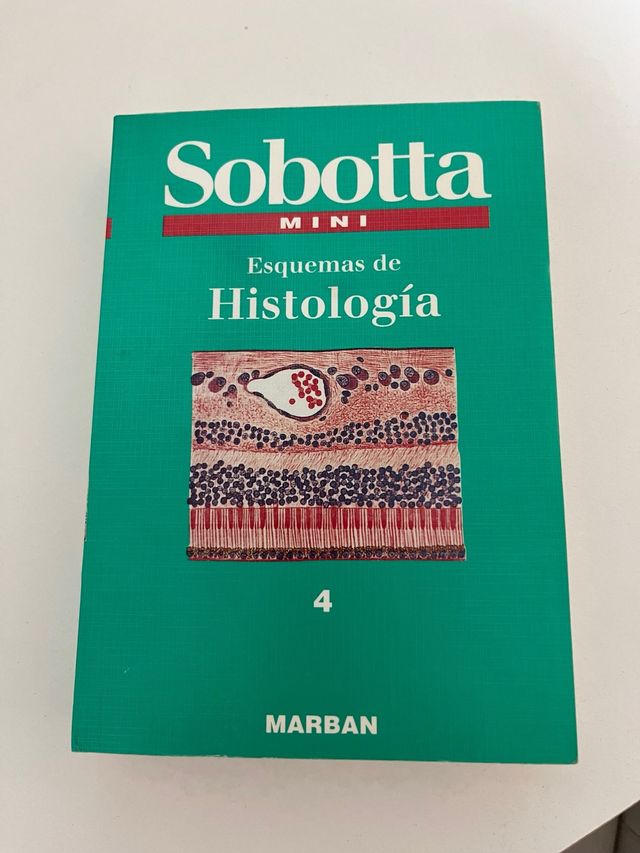 esquema de histologia
