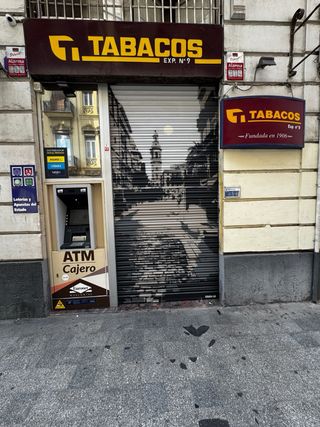 Pintor profesional de grafiti Persianas y murales