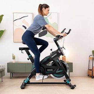 Bicicleta Estática Cecotec Indoor