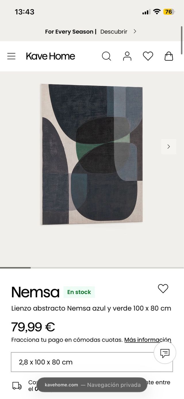 Lienzo Nemsa Abstracto