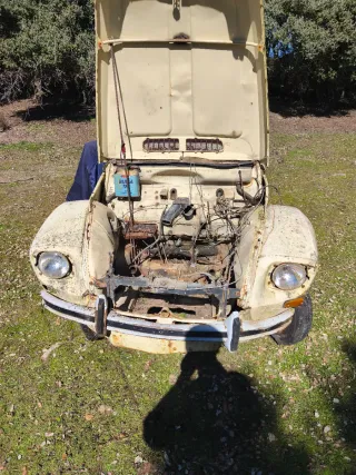 Citroen dyane 6  1980