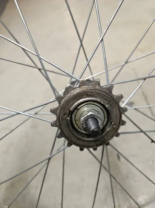 Rueda trasera 20 con cubierta