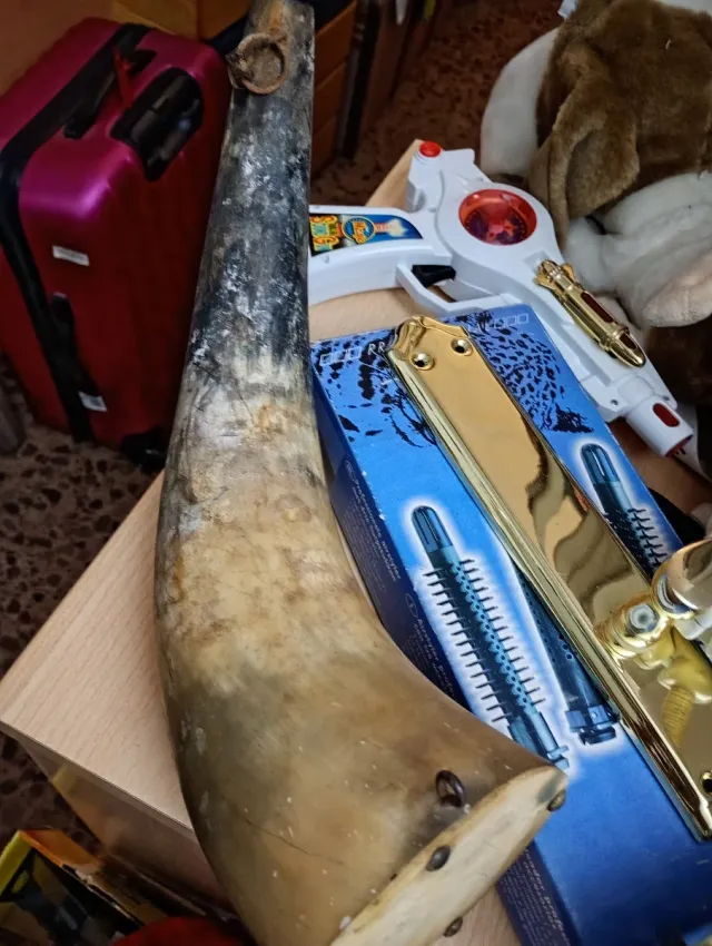 Cuerno antiguo decorativo