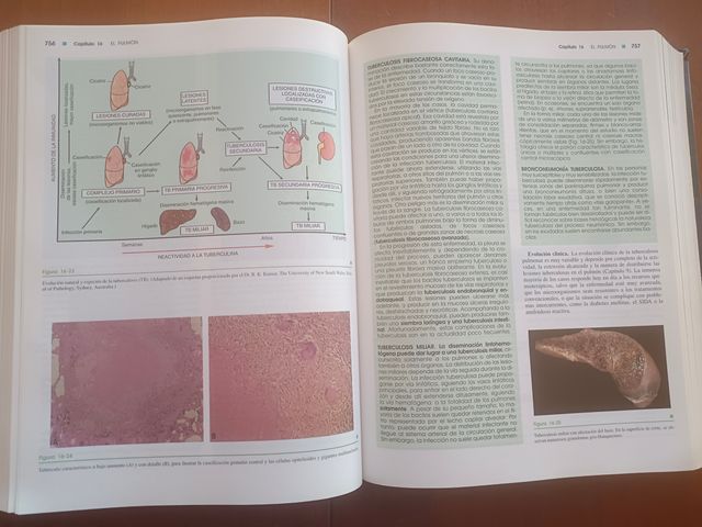 Patología estructural y funcional. 6ª edición
