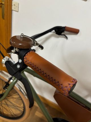 Bicicleta estilo vintage verde