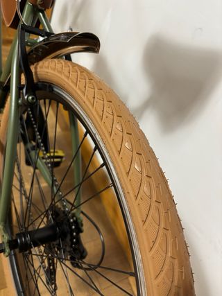 Bicicleta estilo vintage verde