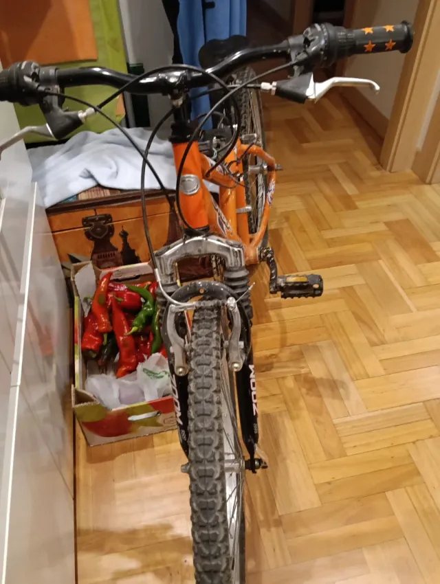 Bicicleta Montaña Infantil