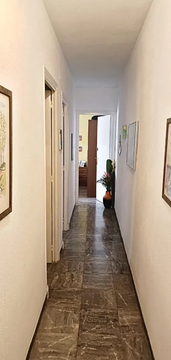 Piso 3 habitaciones, salón-comedor, cocina