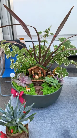 Planta decorativa com presépio