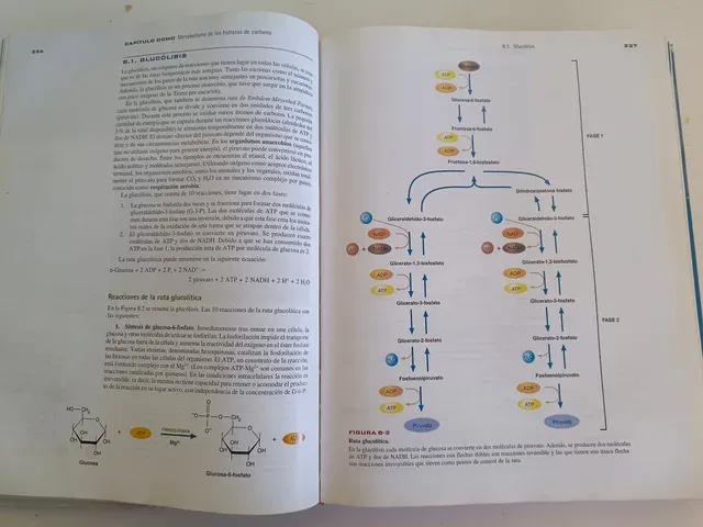 Bioquímica. La base molecular de la vida