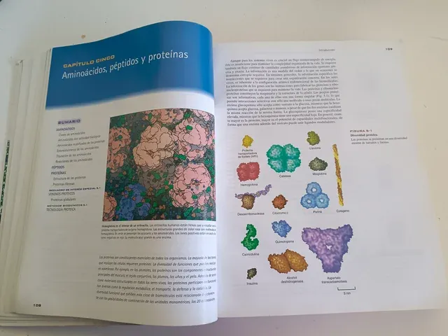 Bioquímica. La base molecular de la vida