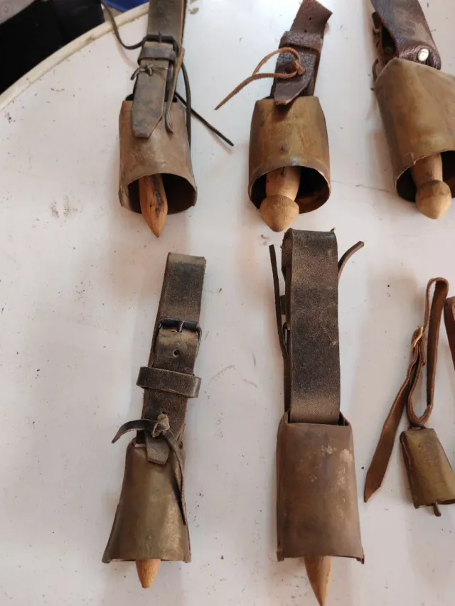 Set di 14 Antichi Sonagli (vedi tutte le foto)