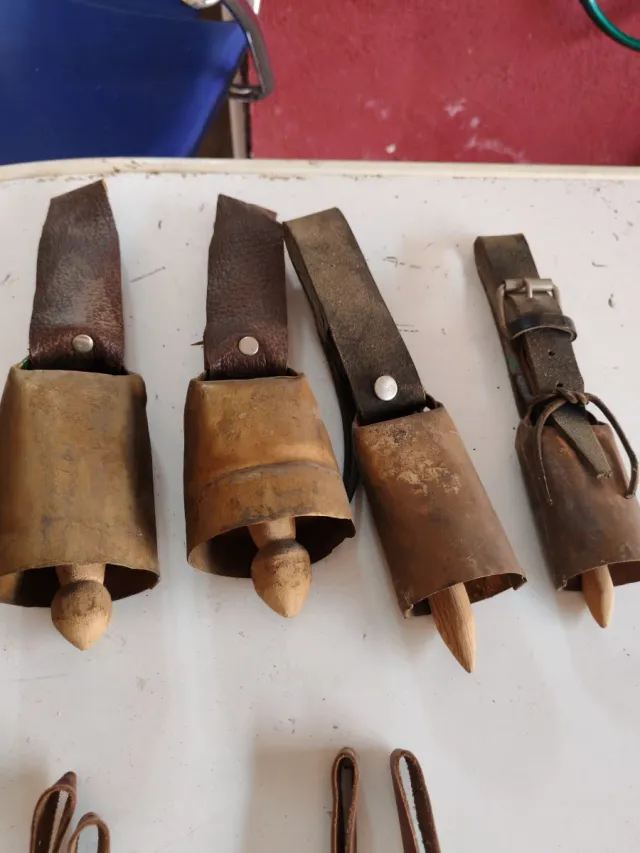 Set di 14 Antichi Sonagli (vedi tutte le foto)