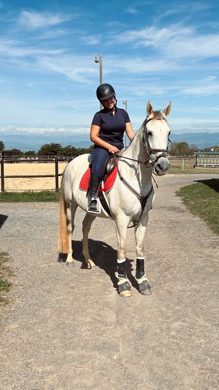 Pechopetral para caballo