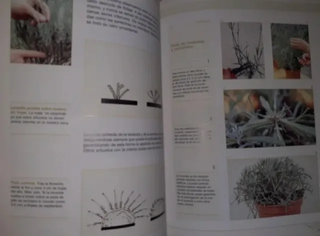 Libro de jardinería: La poda y sus secretos