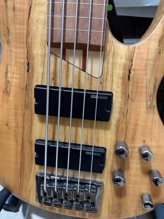 ESP LTD B-205 FRETLESS - Natural Satin