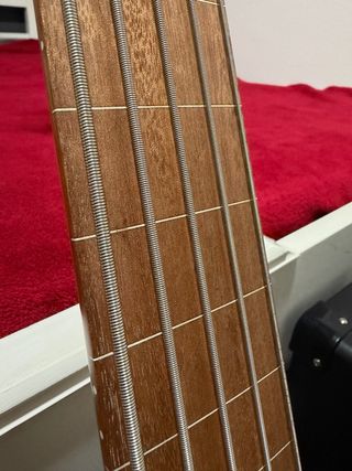 ESP LTD B-205 FRETLESS - Natural Satin