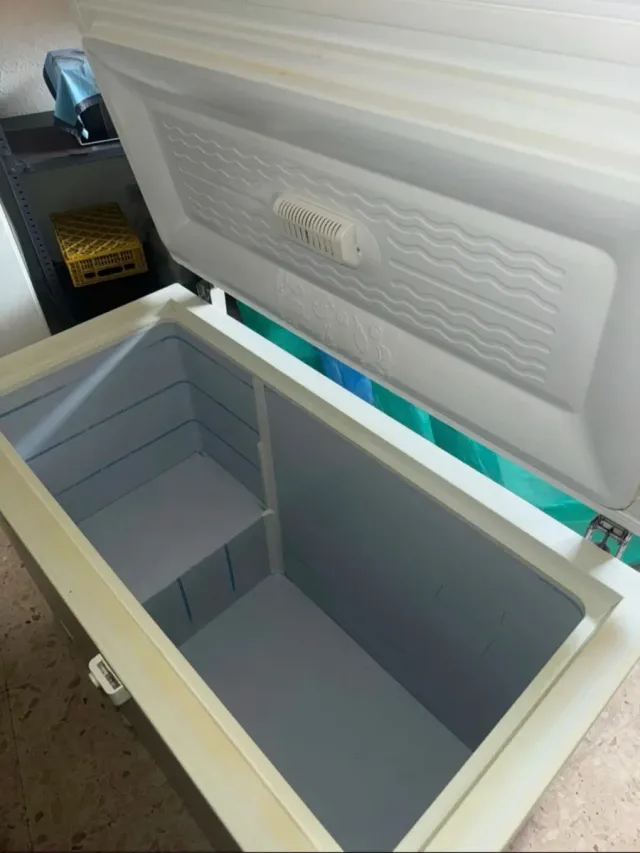 2 Arcónes Congeladored grandes