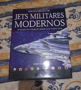 Jets Militares Modernos: Aviones de Combate