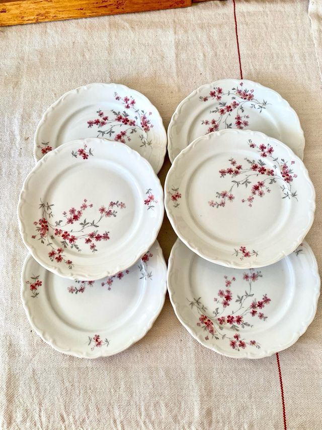 Vajilla Winterling Bavaria Vintage Flores Rosas