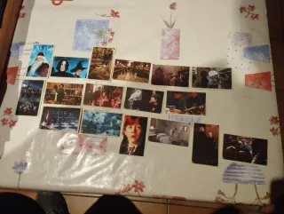 Cromos Harry Potter Saga 2020