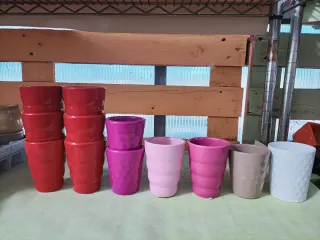 Mini Vaso Vasetto Ceramica Pianta Grassa
