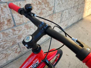 Magic MTB 14 Pollici con Freni a disco (NUOVA)