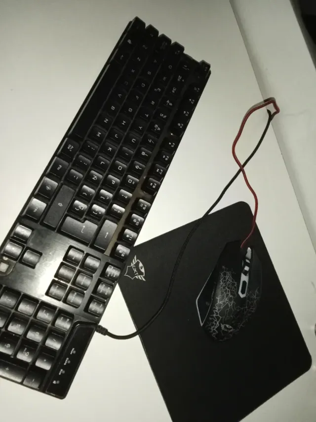Teclado y ratón