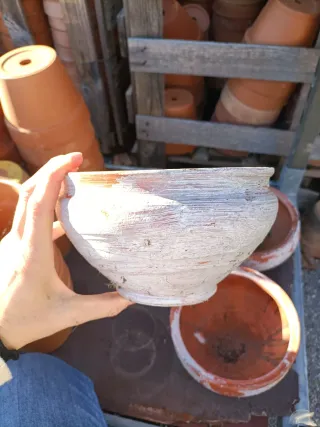 Vaso Ciotola Terracotta Pianta Grassa 18cm