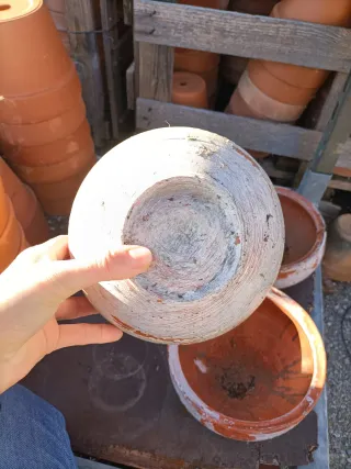Vaso Ciotola Terracotta Pianta Grassa 18cm