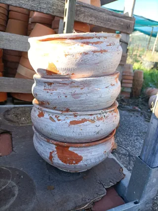 Vaso Ciotola Terracotta Pianta Grassa 18cm