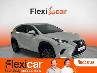 Lexus NX 2.5 300h Business Navigation 2WD