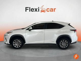 Lexus NX 2.5 300h Business Navigation 2WD