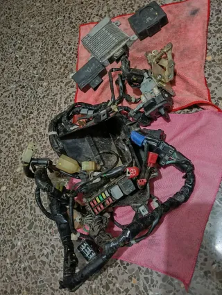 Instalación eléctrica honda Forza 125 2017